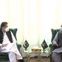 وزیر اعظم
