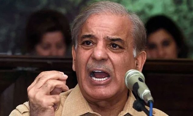Shehbaz Sharif lashes out on govt for increasing rate of medicines