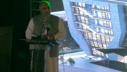 overseas Pakistani have a strong image on the business sector
