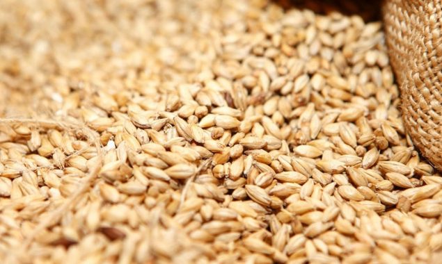 the prices of wheat and flour is on hike due to shortage