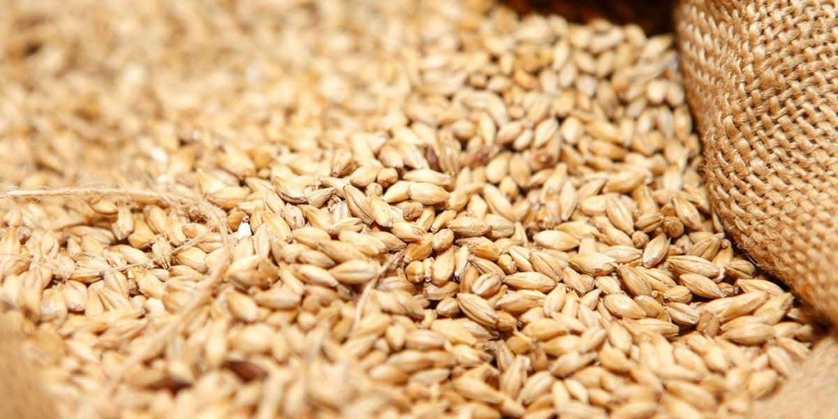the prices of wheat and flour is on hike due to shortage