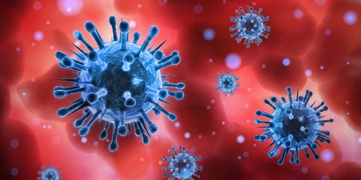 number of patients increased 2 thousand in last 24 hrs