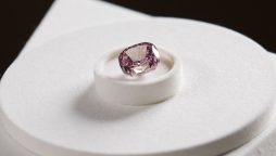 Spirit of the Rose precious Diamond is now for auction