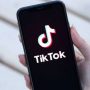 TikTok is being using by VPN in Pakistan after banned
