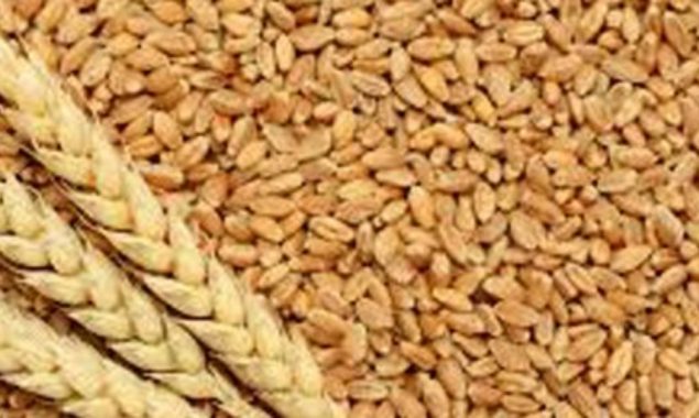 Sindh government regulates new prices of wheat/ flour