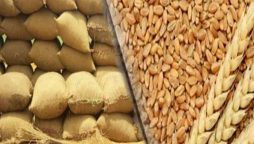 Federal government decided to import more Wheat by Febuary 2021