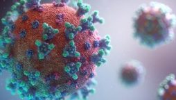 cases of Coronavirus is increased by 24 November in Pakistan