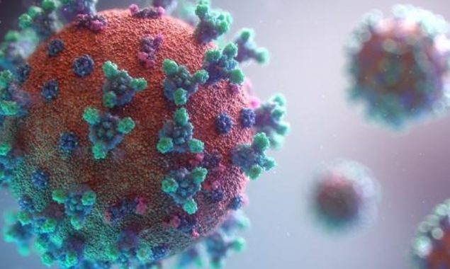 cases of Coronavirus is increased by 24 November in Pakistan