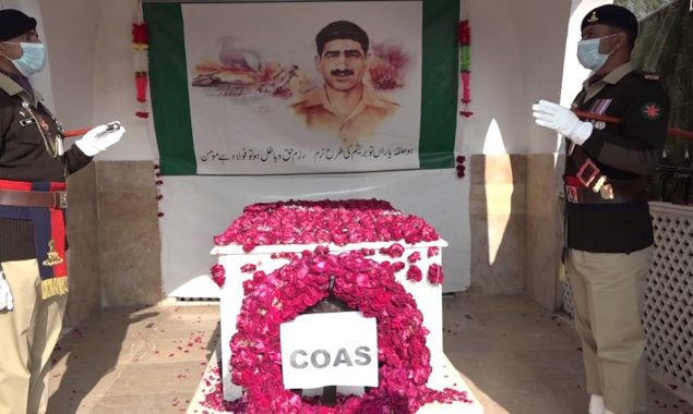 سوارمحمد حسین