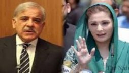شریف
