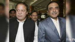 ٹیلیفونک رابطہ