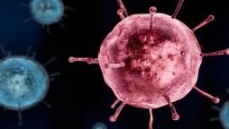Expertise warns on the new specification of Coronavirus