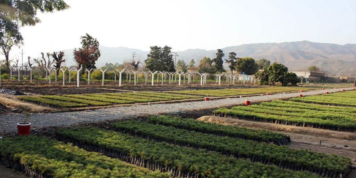 Un appreciates the initiative of billion tree by PM IK