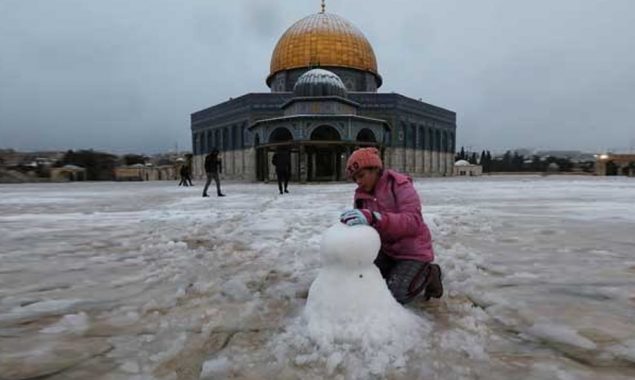 آزاد فلسطینی ریاست امریکی پالیسی میں شامل نہیں، عرب ممالک اپنے پاس بنالیں، امریکا