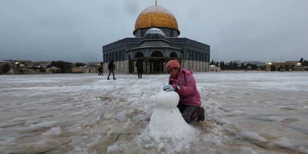 آزاد فلسطینی ریاست امریکی پالیسی میں شامل نہیں، عرب ممالک اپنے پاس بنالیں، امریکا