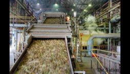 sugar mills