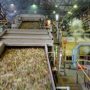 sugar mills