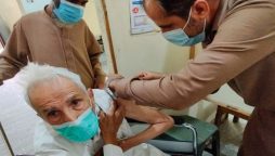 بزرگ ویکسی نیشن