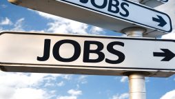 jobs