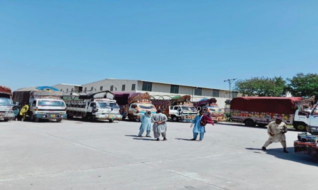 پی ڈی ایم اے