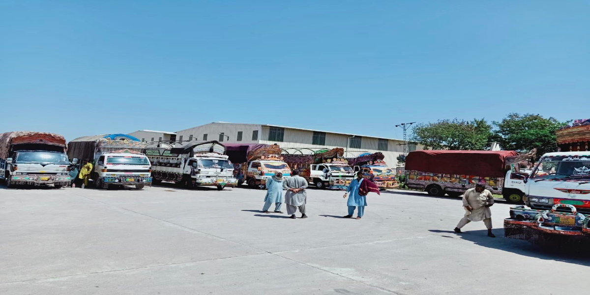 پی ڈی ایم اے