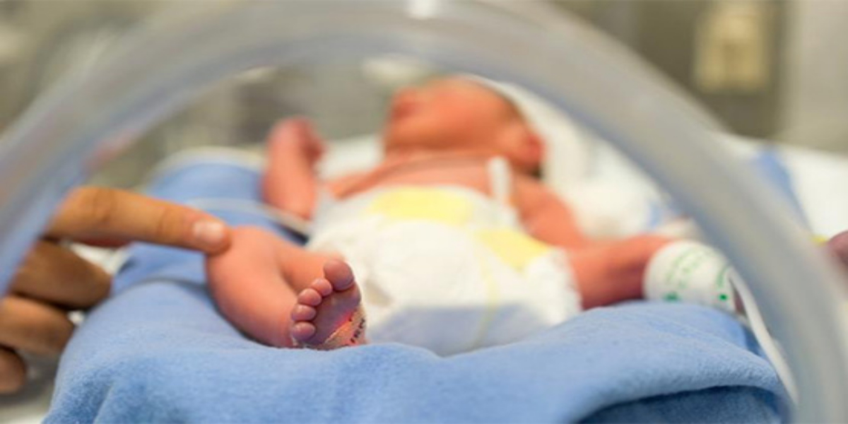 برطانوی رپورٹ