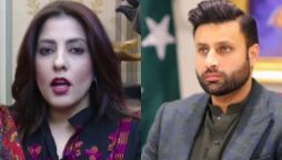 زلفی پلوشہ