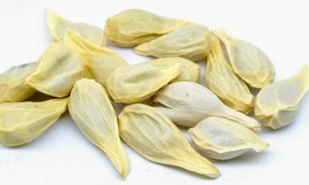 لیموں کے بیج