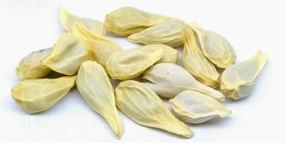 لیموں کے بیج