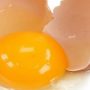 انڈوں کی زردی
