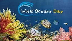 سمندروں کا عالمی دن