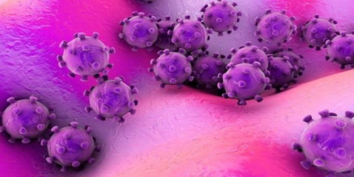 کورونا وائرس