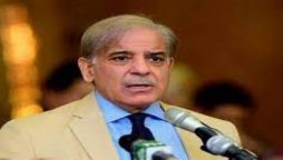 شہباز شریف ملک کے 23ویں وزیر اعظم منتخب