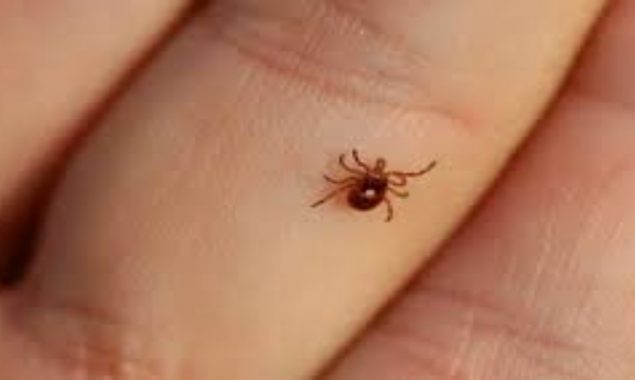 کانگو وائرس