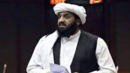 ترجمان پی ڈی ایم