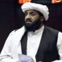 ترجمان پی ڈی ایم