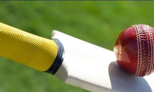 کرکٹ