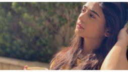 اداکارہ سحر خان