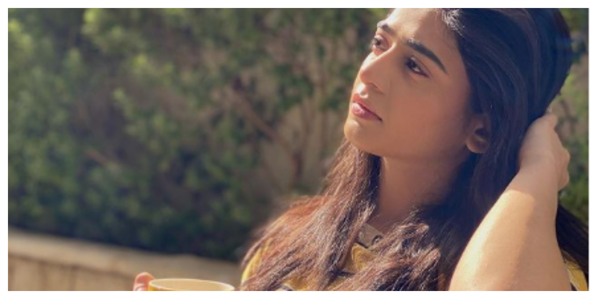 اداکارہ سحر خان