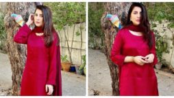 اداکارہ اریبہ حبیب