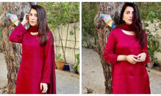 اداکارہ اریبہ حبیب