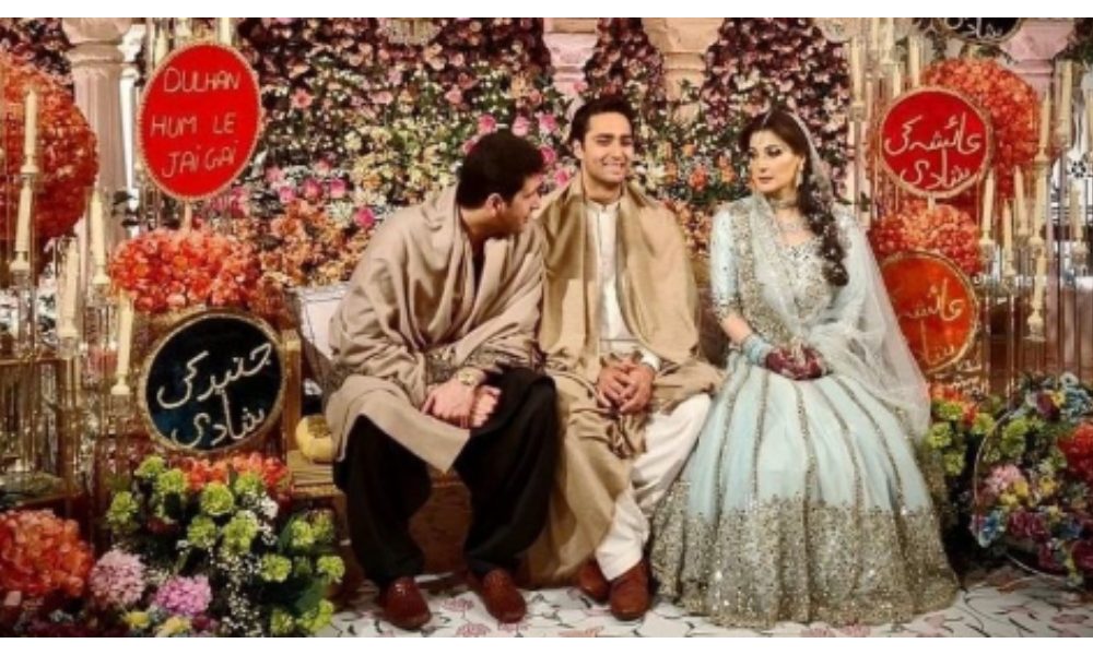 مریم نواز ہوئیں تنقید کا شکار