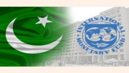 IMF