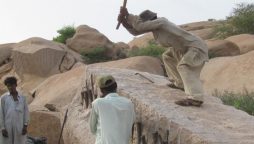 کارونجھر پہاڑکٹائی