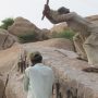 کارونجھر پہاڑکٹائی
