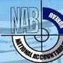 نیب، احتساب عدالت