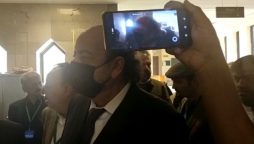 نیب