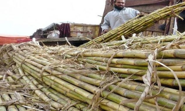 شوگر ملز سے حاصل سیلز ٹیکس میں 33 فیصد اضافہ