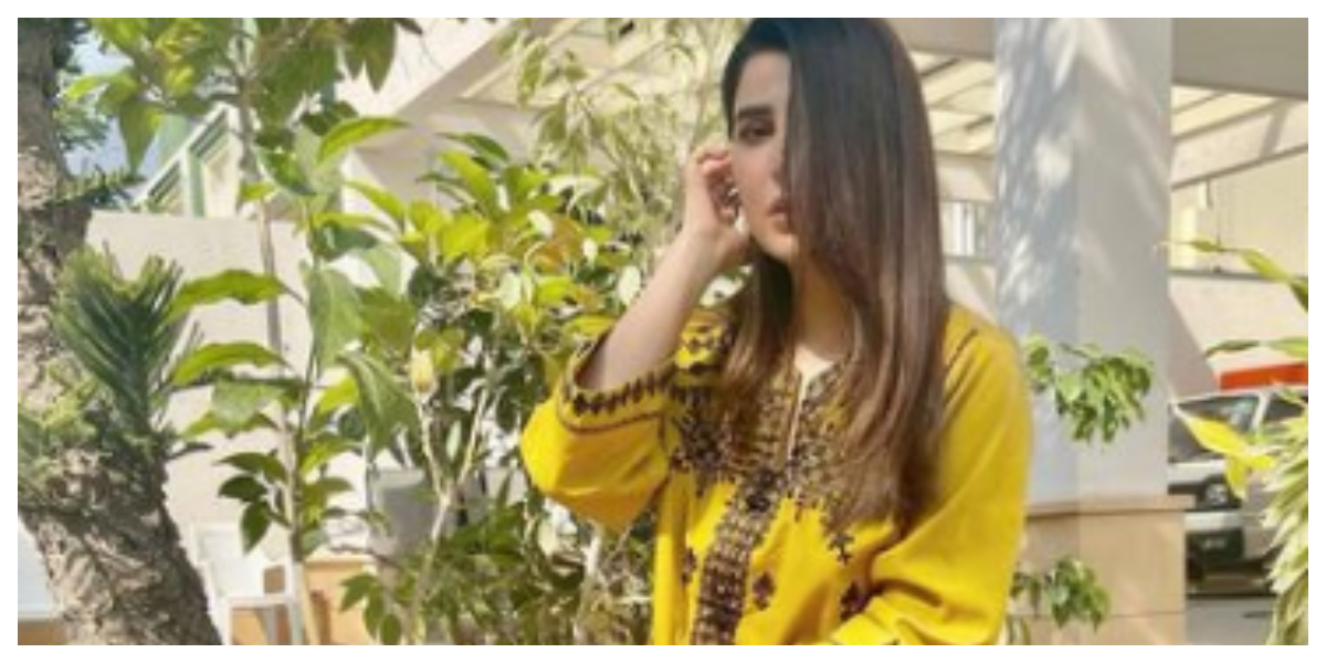 اریبہ حبیب کی نئی تصاویر