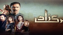 پری زاد کی آخری قسط